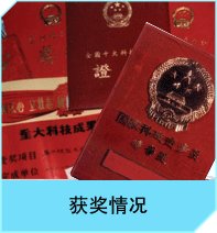 网站首页