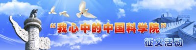 可先确认当前栏目名称